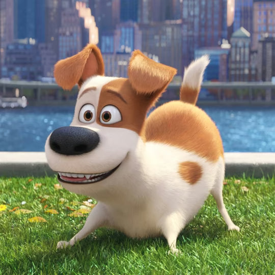 Patton Oswalt Private Autograph Signing