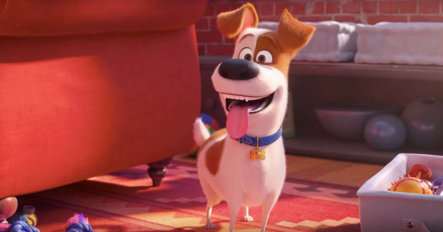 Patton Oswalt Private Autograph Signing