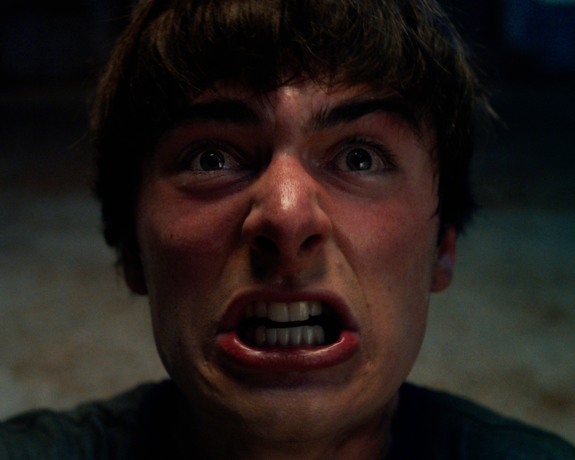 Noah Schnapp Autograph Signing