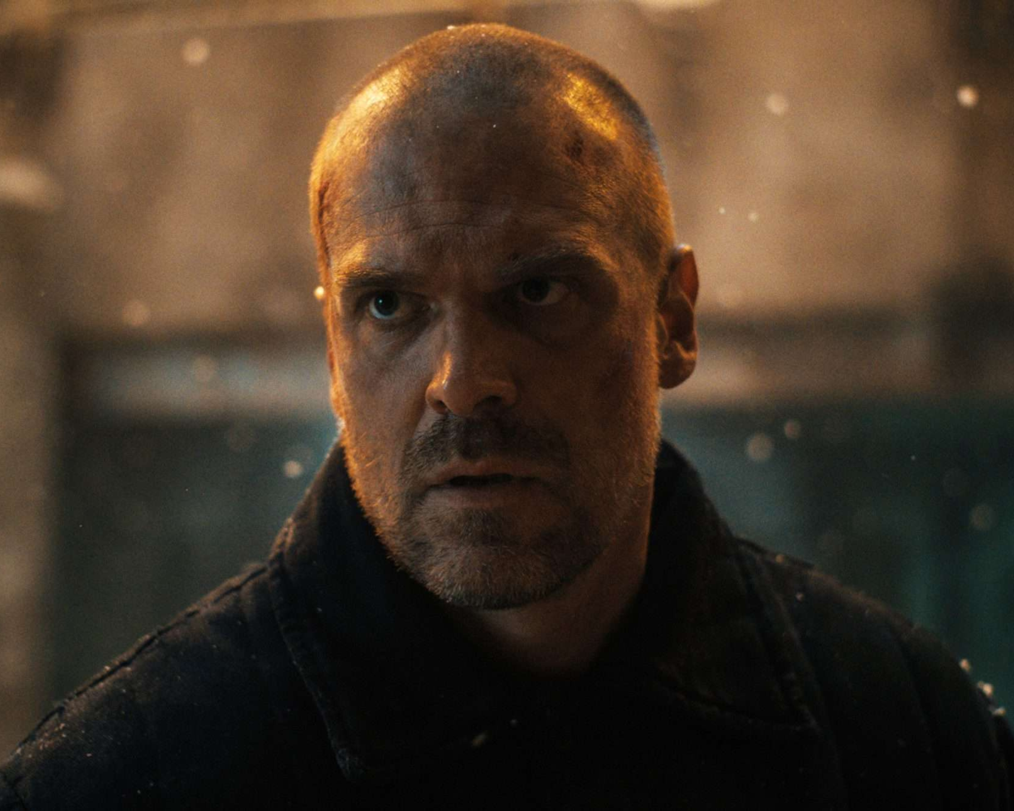 David Harbour Autograph Signing