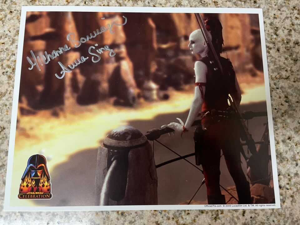 Michonne Bourriague Exclusive Signed Collection | Aurra Sing