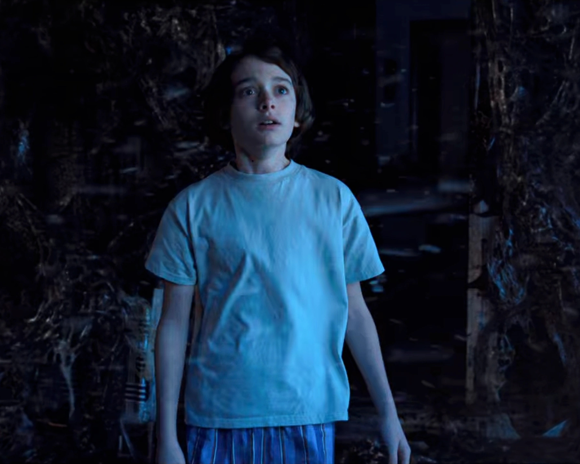 Noah Schnapp Autograph Signing