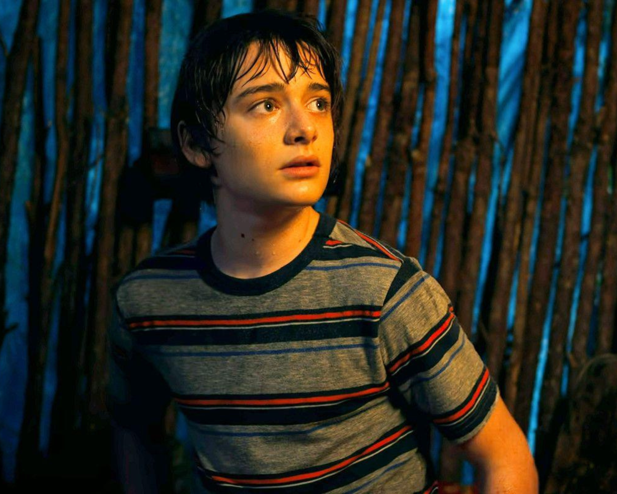 Noah Schnapp Autograph Signing